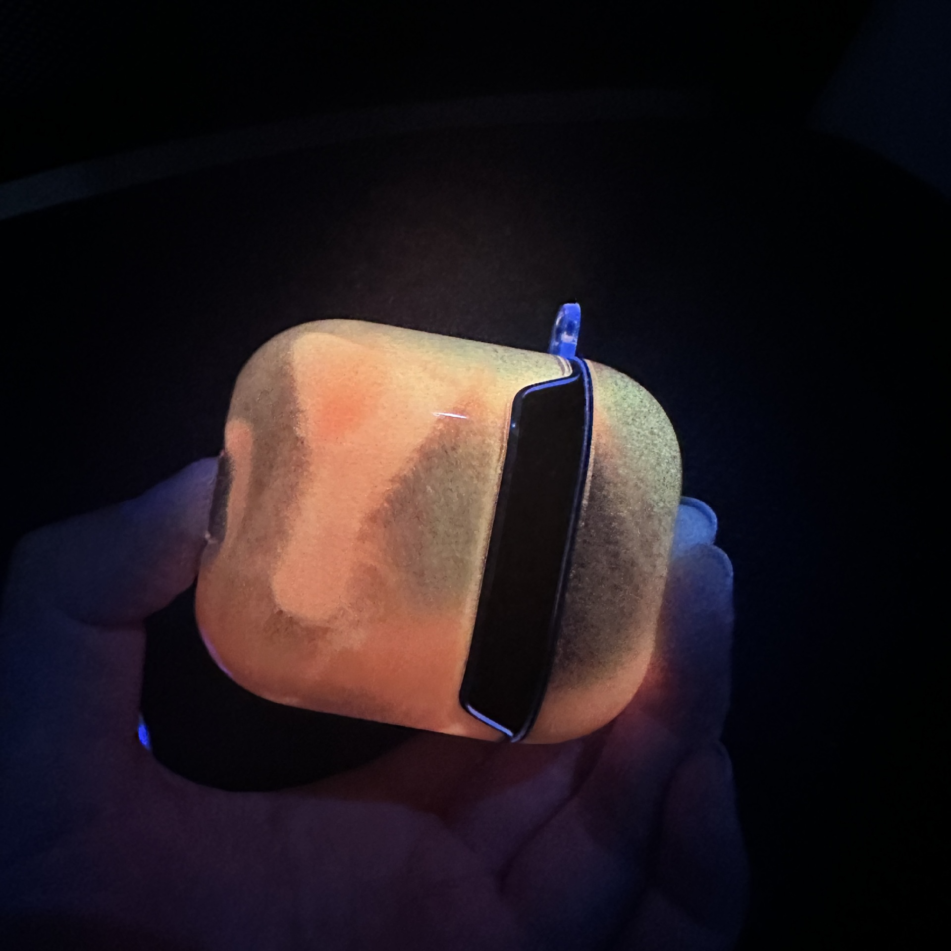 Earbuds Case